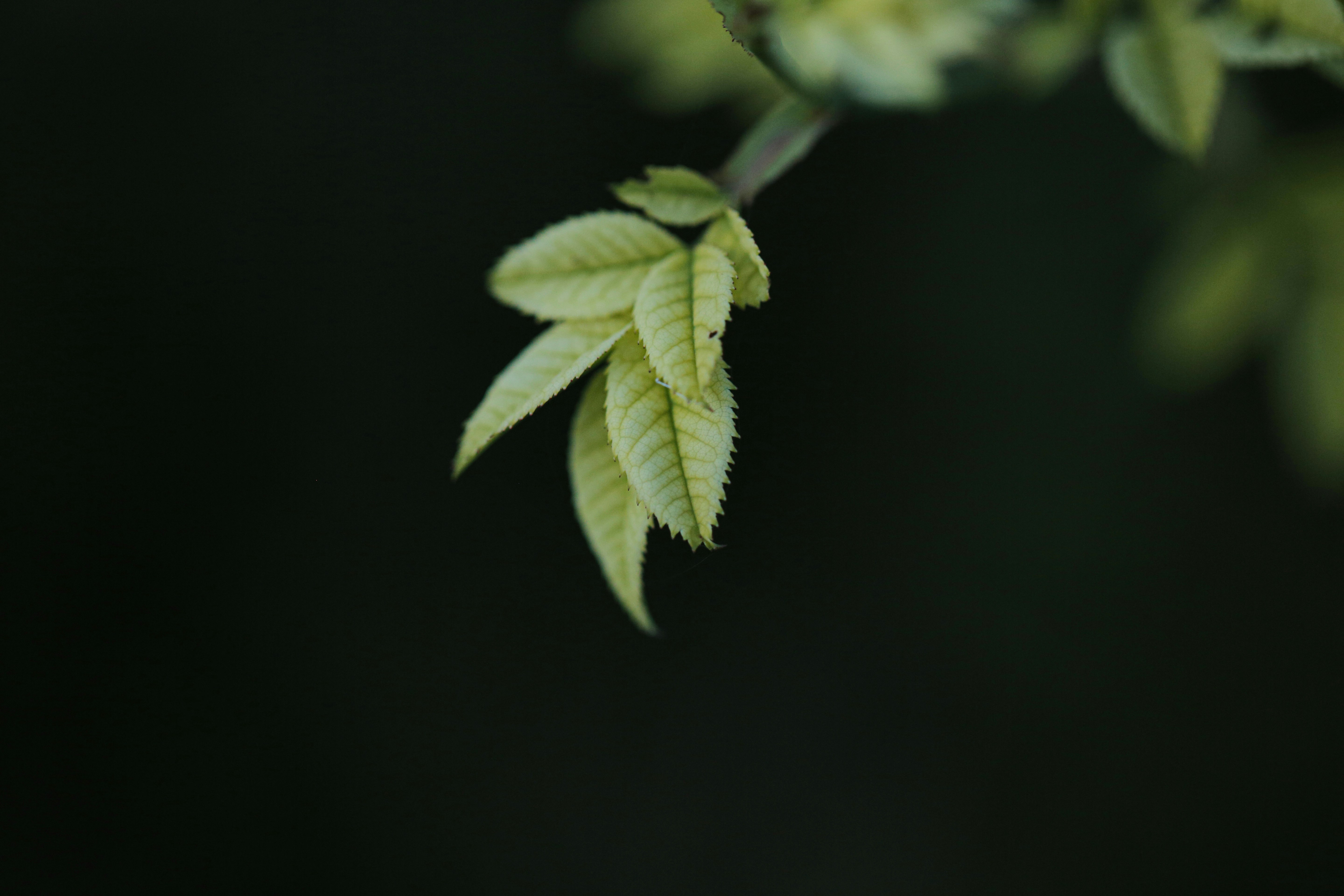 vLLM推理优化：多模态时代的性能突破与实践